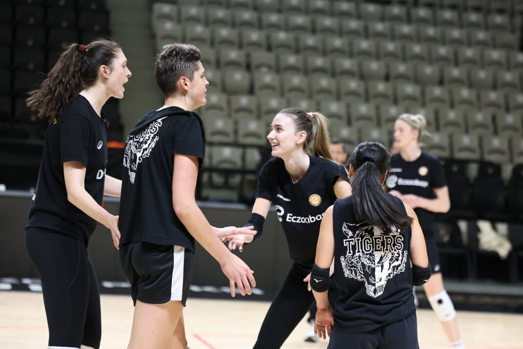 Eczacıbaşı Dynavit (2)