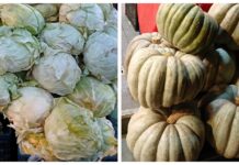 Tezgâhlarda lahana ve kış kabağı bolluğu