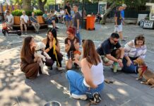 Kuğulupark’ta “Yuvamı Arıyorum” buluşması